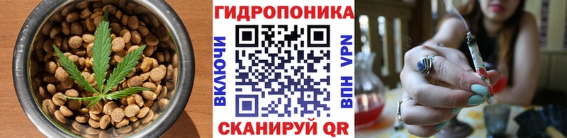 Cannafood марихуана Балахна