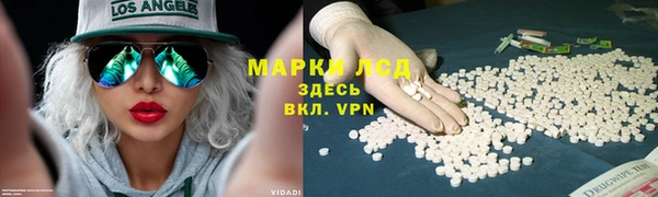 прущие крисы Баксан