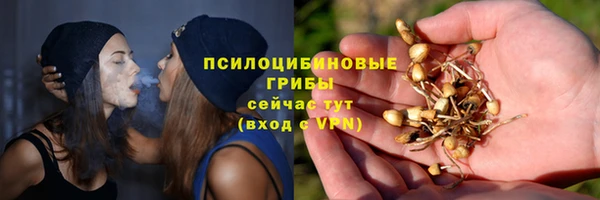 сатива Балабаново