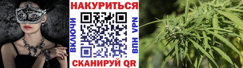 Бошки марихуана сатива  где купить наркоту  Балахна 